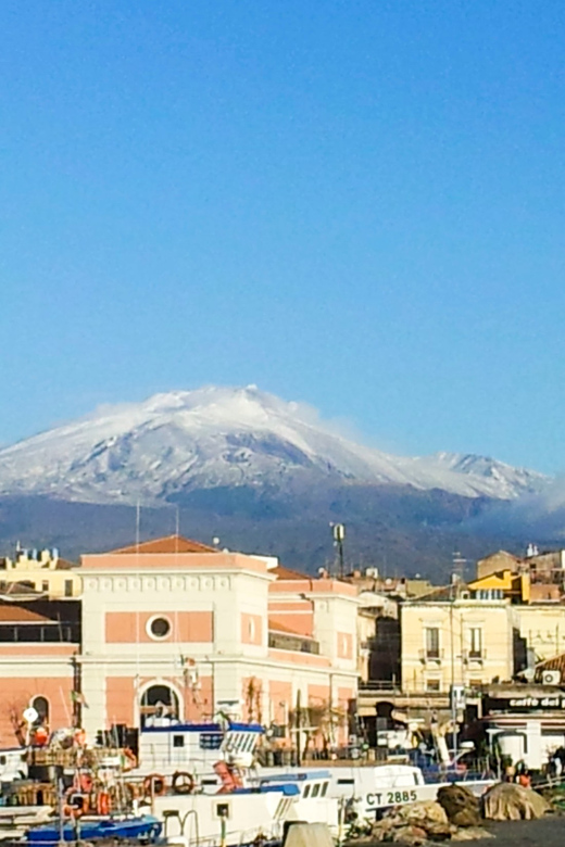 6-Hour Mount Etna Excursion - Mount Etna in a Tight Schedule: How This Six-Hour Format Works