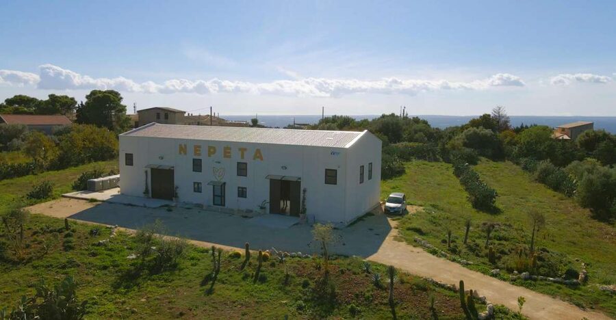 CASA NEPETA: Botanical Walk, Amari Production, and Tasting - Casa Nepeta in Testa dell’Acqua: what makes this amaro experience different