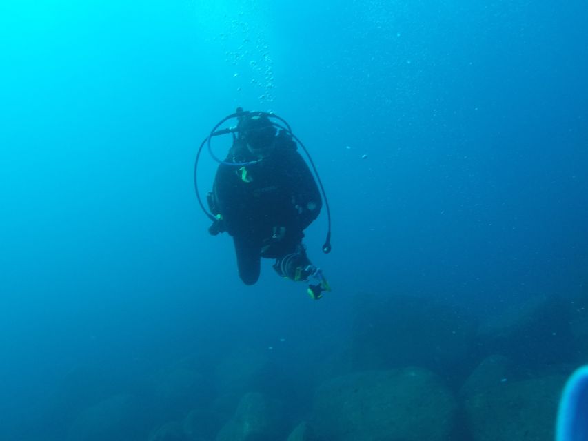 Catania : Diving for patented divers - The underwater canyon effect: more shape, more viewing angles