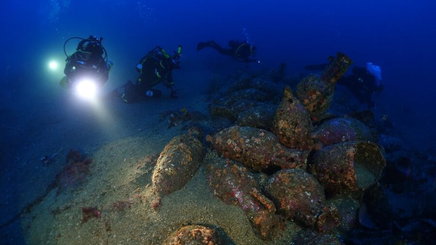 Catania : Diving for patented divers - Wildlife you’ll want to watch for: fish, crustaceans, molluscs, stingrays