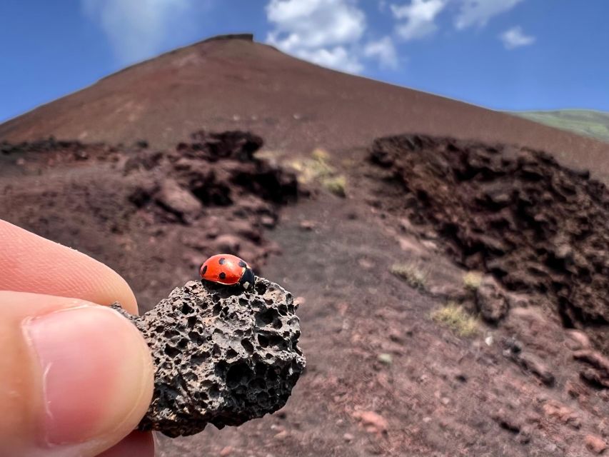 Catania: Etna Morning Excursion with Tasting and Pickup - What you’re paying for: value at about $67.97
