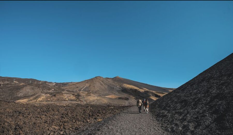 Catania: Etna Morning Excursion with Tasting and Pickup - Pickup in Catania: where you meet and how it runs