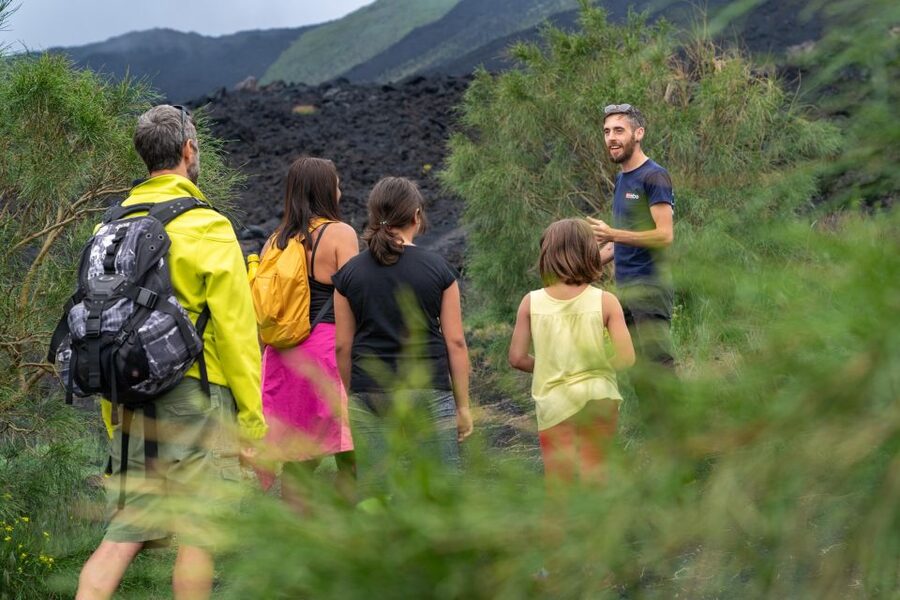 Catania: Etna Nature Tour with Hiking, Cave Visit, & Tasting - Price and value: is $45.55 really a deal?