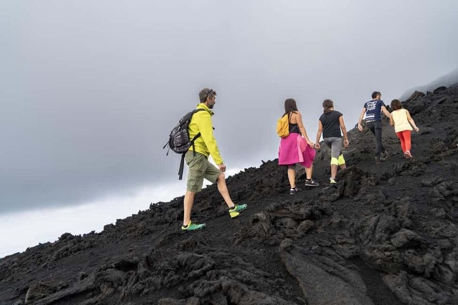 Catania: Guided Tour of Etna with Farm Visit & Food Tasting - Etna Day, Start-to-Finish: Hotel Pickup in Catania Without the Stress