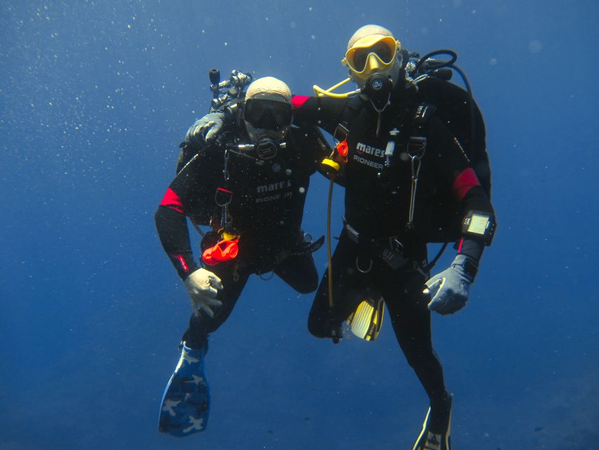 Catania: Gulf Scuba Diving Tour with Marine Biologist - Key things I’d focus on before you book