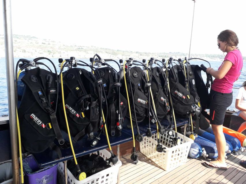 Catania: Gulf Scuba Diving Tour with Marine Biologist - Pace, timing, and group feel: what 3.5 hours really means