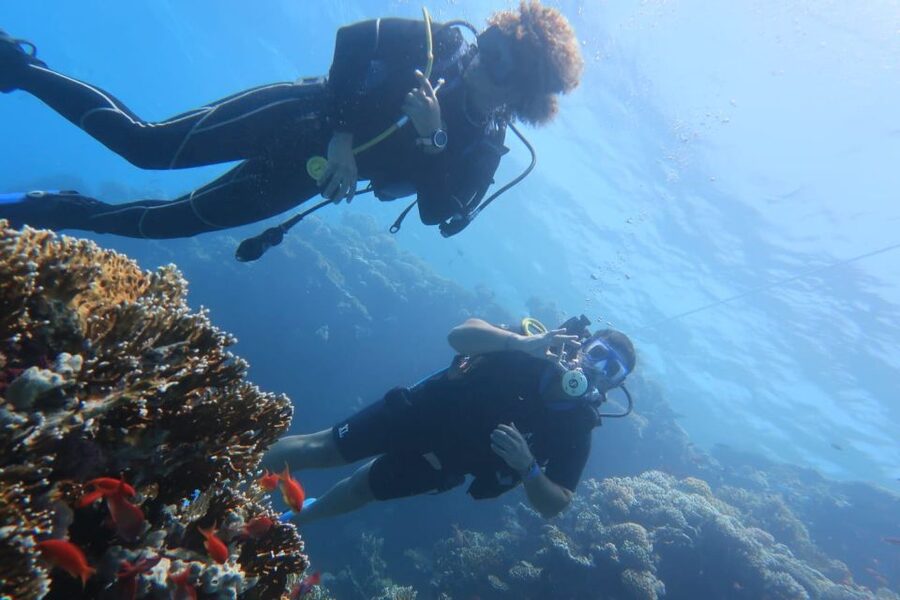 Catania: Gulf Scuba Diving Tour with Marine Biologist - Price and value at $82: what you’re buying, and what you’re not