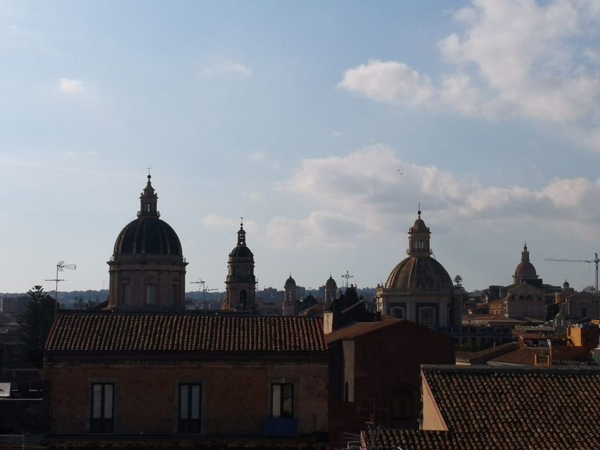Catania: Heart of the City Guided Walking Tour - Meeting at Via Merletta: find the blue flag, then start with the elephant