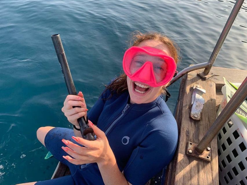 Catania, Isole Ciclopi: Snorkeling Trip - Key highlights you can plan around