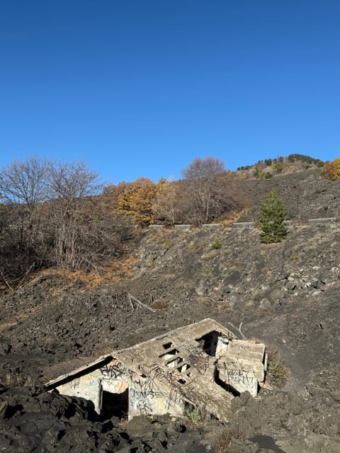 Catania: Morning Jeep Tour of Mount Etna and Lava Flow Caves - Valle del Bove: the lava-desert view you’ll plan your photos around