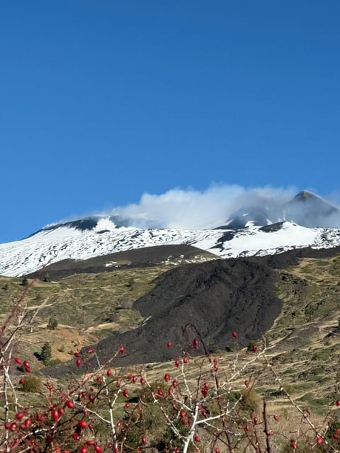 Catania: Morning Jeep Tour of Mount Etna and Lava Flow Caves - Zafferana Etnea tasting break: local products with a real reason
