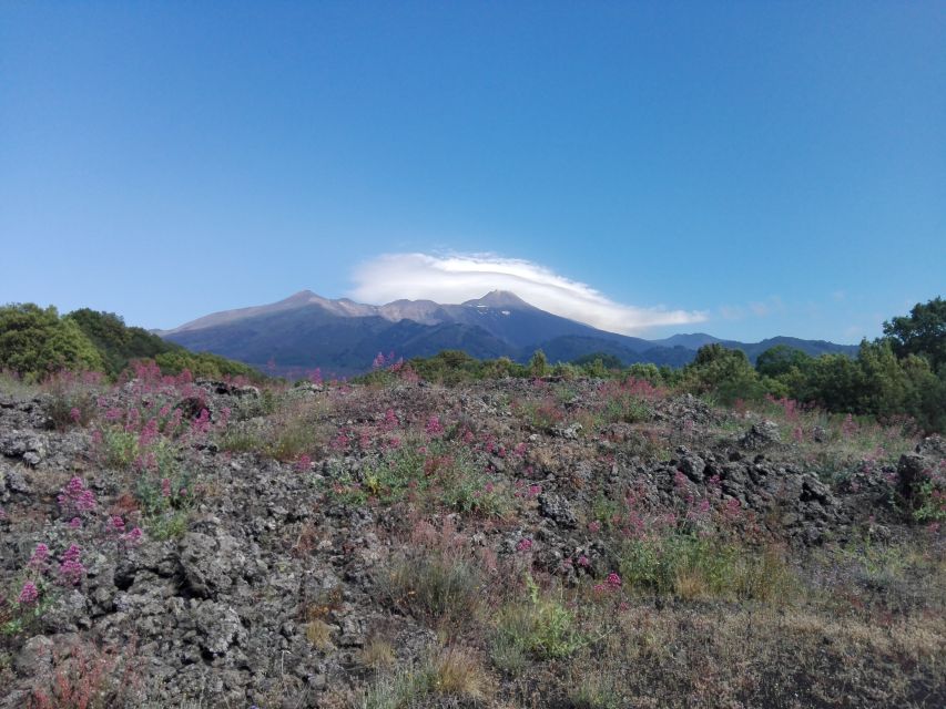 Catania: Mount Etna Sunset Tour and Etna Doc Wine - Price and value: what $79-ish buys you on Etna