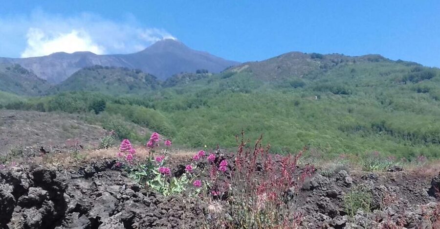 Catania: Mount Etna Sunset Tour and Etna Doc Wine - Timing tips for a 5-hour sunset format
