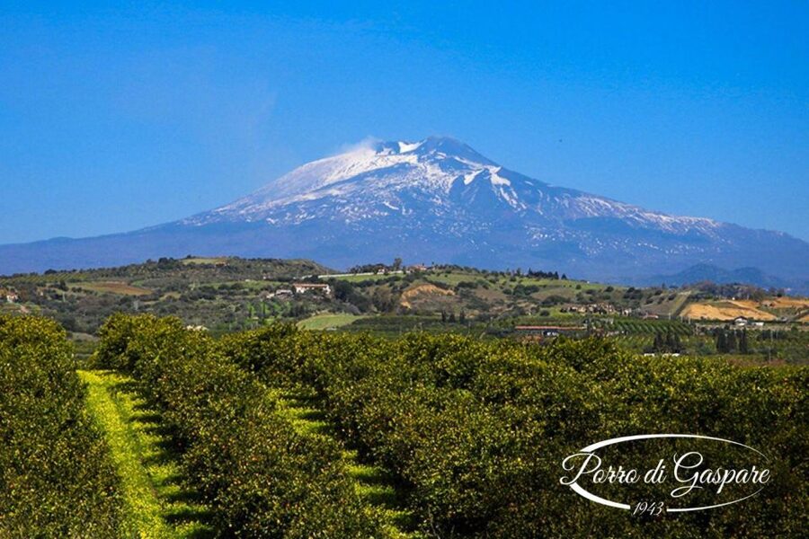 Catania: Pozzo di Gaspare Farm Guided Tour with Tastings - Walking into Motta Sant’Anastasia’s countryside (and why the setting matters)