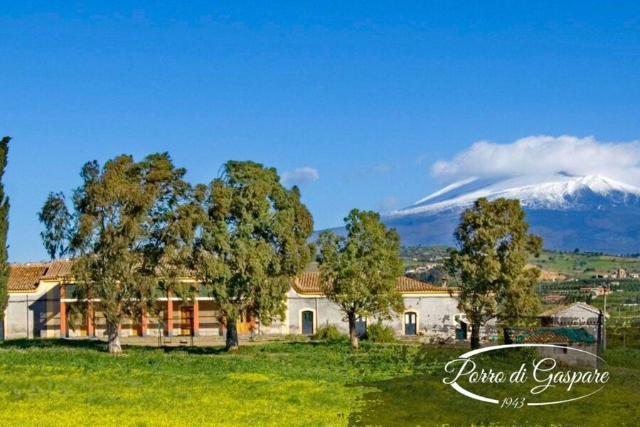 Catania: Pozzo di Gaspare Farm Guided Tour with Tastings - What about the views and the mood?
