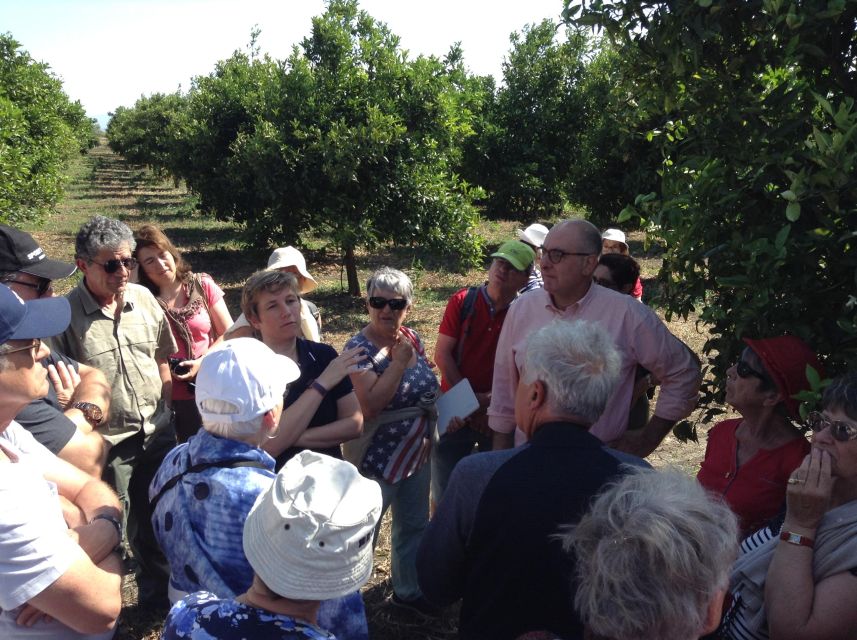 Catania: Pozzo di Gaspare Farm Guided Tour with Tastings - Price and value: what $41 buys you in the real world