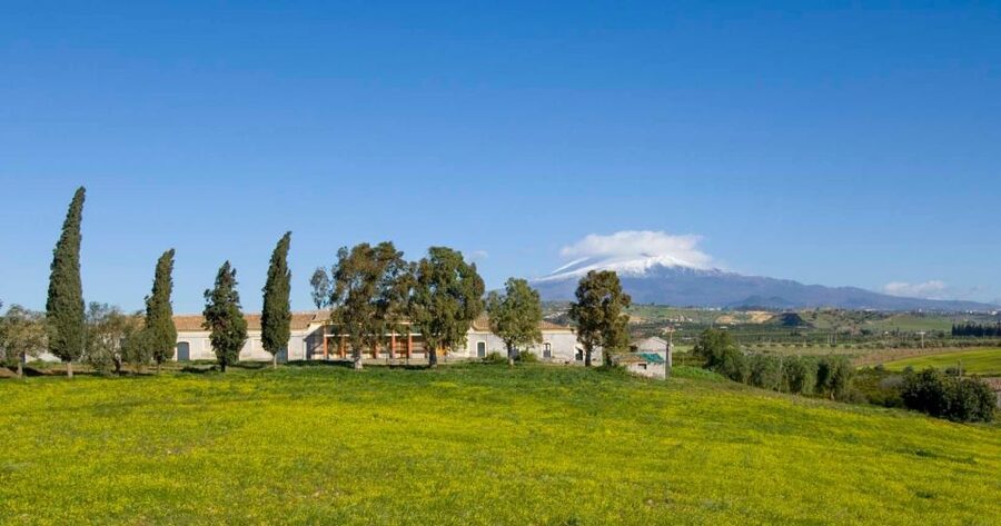 Catania: Pozzo di Gaspare Farm Guided Tour with Tastings - Best time to go: March–May makes the tour feel magical