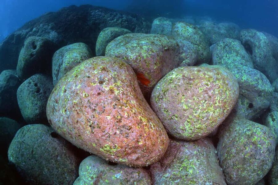 Catania: Scuba Diving Experience - Your Underwater Plan: Gear Basics, Then Lava-Lit Exploration