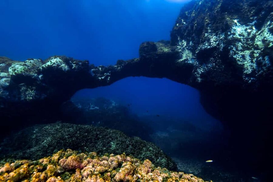 Catania: Scuba Diving Experience - Catania’s Lava-Flow Seabeds and Submerged Volcanic Shapes