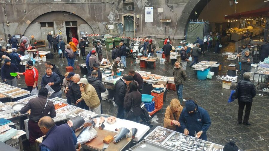 Catania Street Food Tour: Fish Market & City Centre - Should You Book This Catania Street Food Tour?
