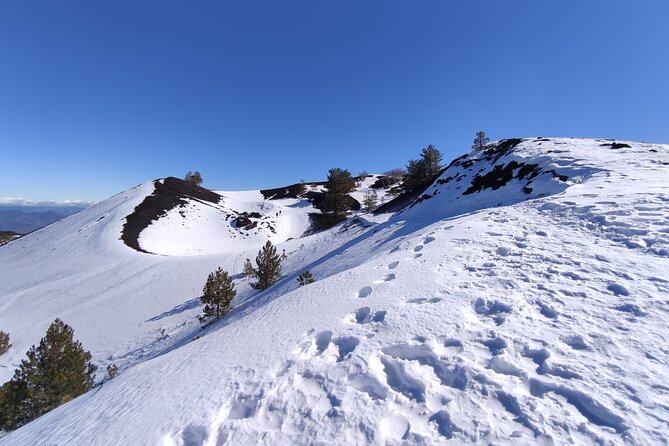 Etna and Alcantara Gorges Excursion - Etna by SUV: the real reason this tour feels efficient