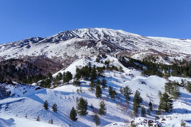 Etna and Alcantara Gorges Excursion - Etna lunch at a local chalet: included and actually filling