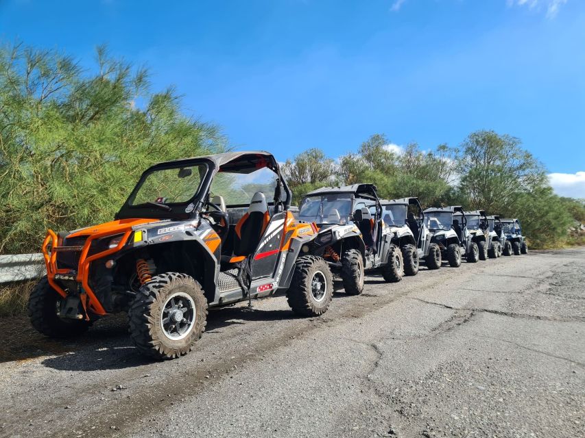 Etna Buggy 4x4 Tour - Valle del Bove viewpoint from Mt Zoccolaro