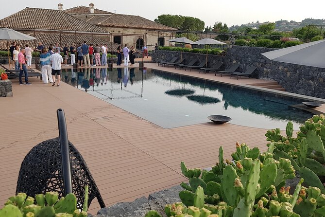 Etna Easy & Winery from Messina, Catania or Taormina/G. Naxos - Price and Value: What $304.18 Per Person Buys