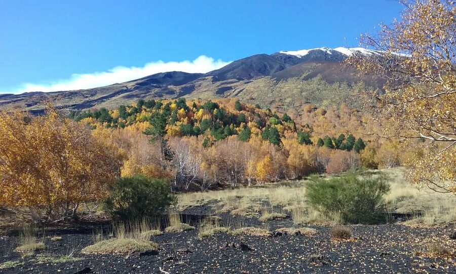 Etna excursion from Taormina and surroundings - The 2002 eruption walk: seeing volcanic change up close