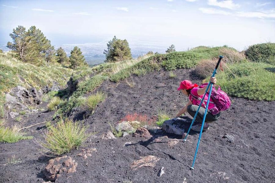 Etna Family Tour: private excursion on Etna mt. for families - Getting there and parking: plan it before you go