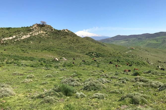 Etna Morning Jeep Tour - Optional cave stops: Grotta Cassone, Casa del Vescovo, and Grotta del Gatto