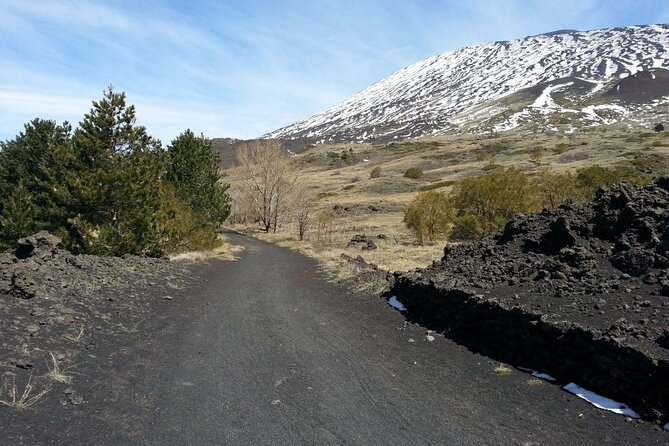 Etna Morning - Pickup Time 08:30 from your Hotel - Price and Timing: Why This Tour Sells Out Early