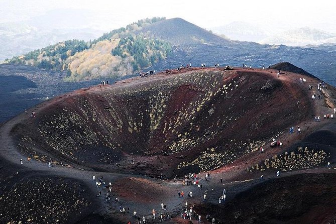 Etna Private tour from Messina Cruise Terminal + Lunch at Winery - Family Winery Lunch and Wine Tasting: Etna Reds and Whites