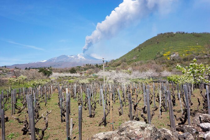 Etna Private tour from Messina Cruise Terminal + Lunch at Winery - Price and Value: Is $416.86 Per Person a Good Deal?