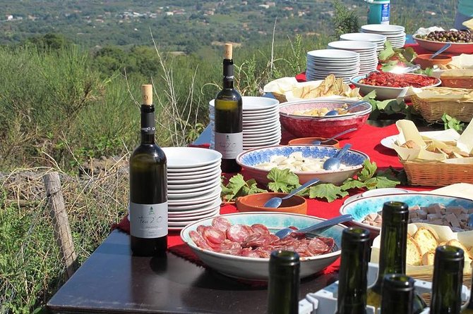 Etna Private tour from Messina Cruise Terminal + Lunch at Winery - What to Pack (So Etna Doesn’t Surprise You)