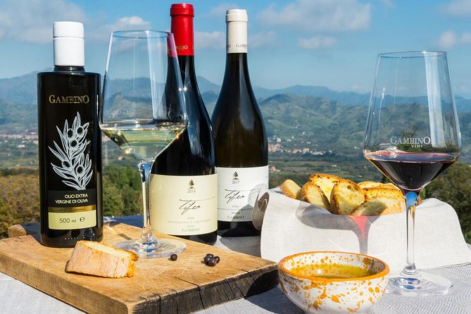 Etna Private tour from Messina Cruise Terminal + Lunch at Winery - Who Should Book This Etna Volcano and Winery Day