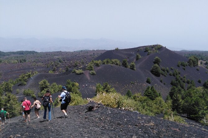 Etna private tour with wine cellar gambino lunch and wine tasting - A Private Etna Day From Catania With Wine and Lunch