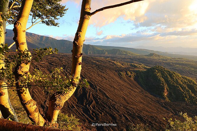 Etna Sunset Tour - Stop 4: Oro d’Etna farm tasting in Zafferana Etnea