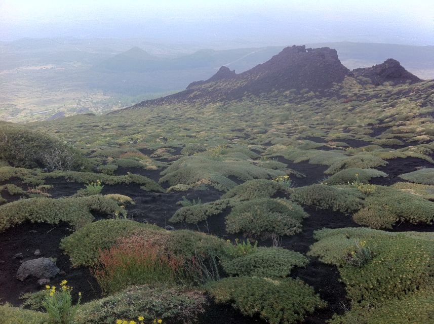 Etna: Sunset Tour on the Volcano - Etna at sunset: why this timing matters up at 2000 meters
