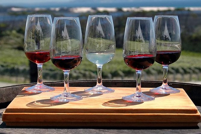 Etna Tour and Lunch in a Winery with Wine Tasting - Who Should Book This (and Who Should Skip It)