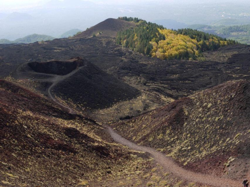 Etna Tour by Panoramic Bus - The Big Moment: 3 Hours at 2000m on Mount Etna