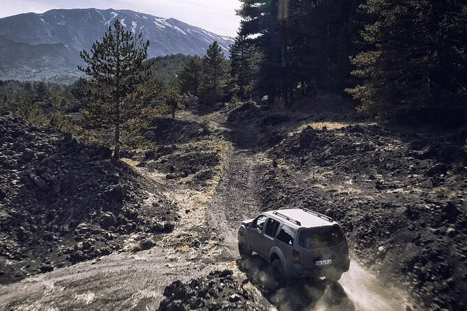 Etna Tour in 4x4 - From Altitude to Views: What the Day Feels Like