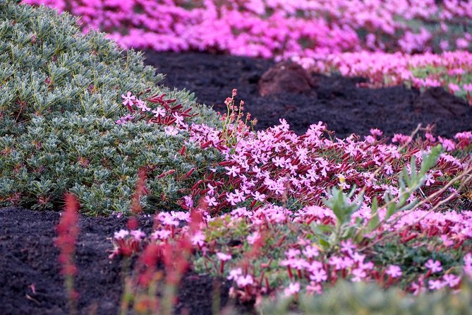Etna Tour in 4x4 - What to Wear and Bring for Etna (So You Don’t Hate Your Legs)