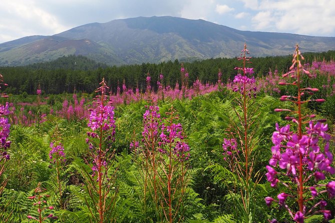 Etna Tour in 4x4 - Price and Value: Is $90.58 Worth It?
