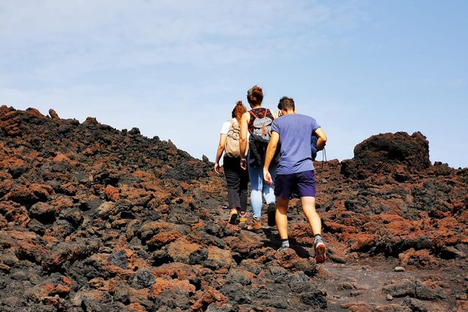 Etna trekking and wine tasting - Who this tour fits best (and who might want another option)