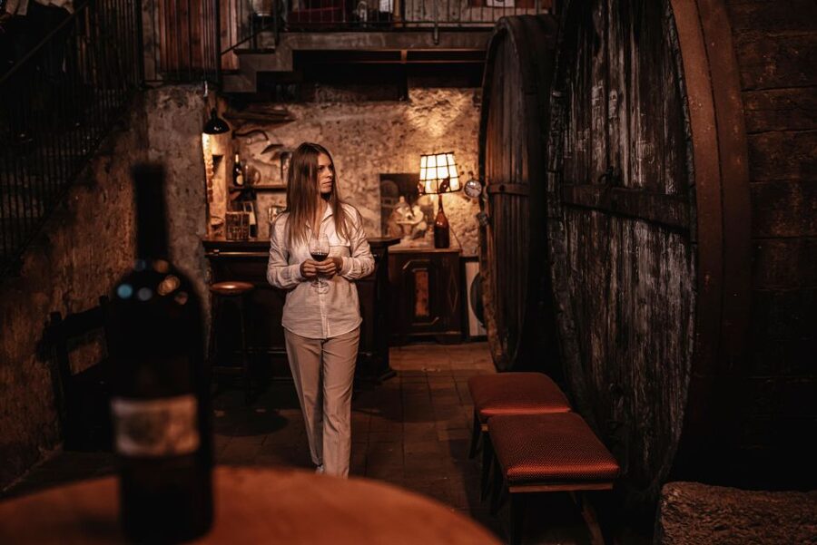 Etna Urban Winery - Tasting, sicilian platter and self tour - Wine tasting with Sicilian street-food: four Etna wines, one tasting journey