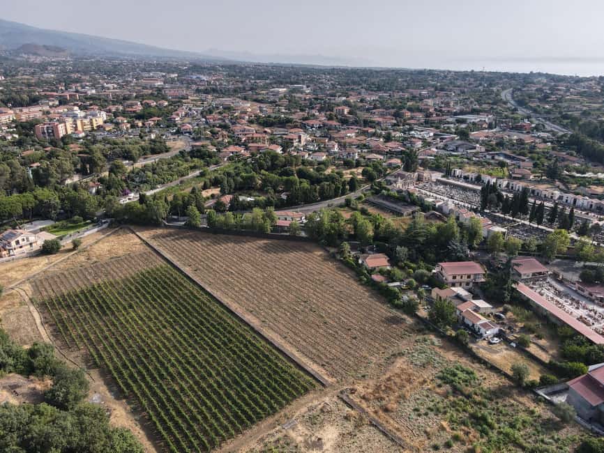 Etna: Urban Winery, Vineyards Walk & Wine Tasting at Sunset - Sunset tasting: four Etna wines with tapas-style pairings by chef Leonardo