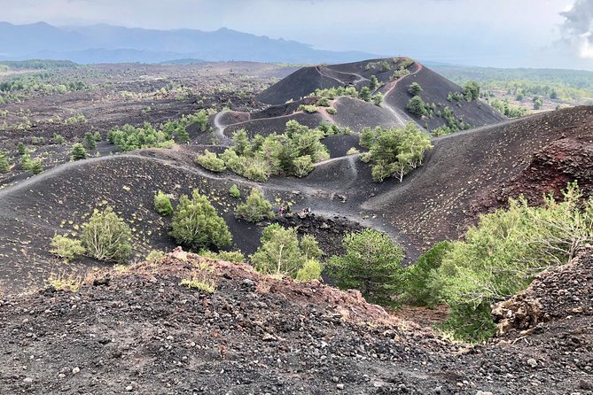 Etna, Wine and Alcantara Tour - From Taormina - Key Highlights to Know Before You Go