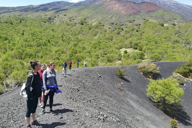 Etna, Wine and Alcantara Tour - From Taormina - A Full-Day Mount Etna and Alcantara Loop From Taormina