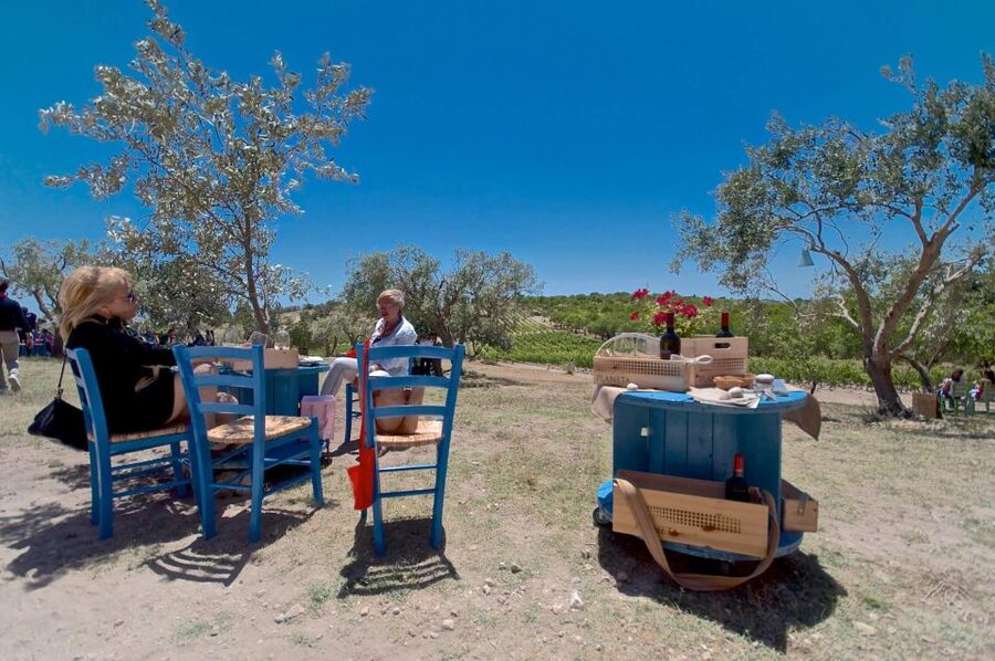 Etna & Wine Private Day Tour - Key things to know before you go